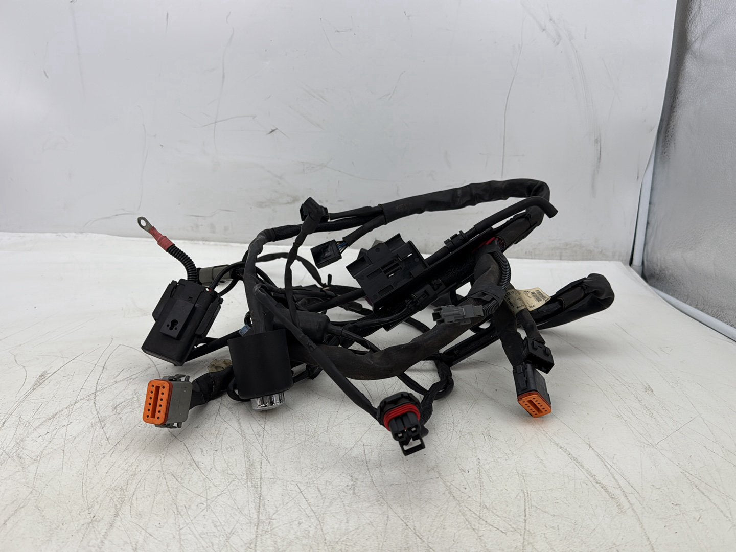 2006 Harley Sportster XL883L Low Main Wire Wiring Harness Ignition Switch NOKey