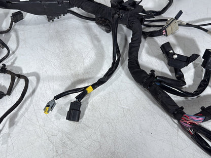 2008 - 2016 Harley-Davidson Touring Electra Glide Ultra Main Wire Wiring Harness Loom ABS