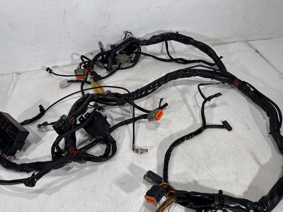 2002 Harley Electra Glide Touring Classic OEM Main Wire Wiring Harness Loom CARB