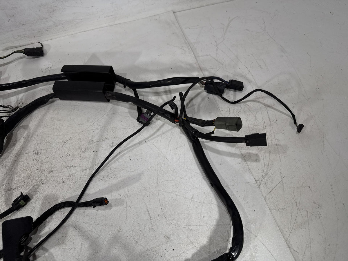 01 Harley Heritage Softail Classic FLSTC OEM Main Wire Wiring Harness Loom CARB