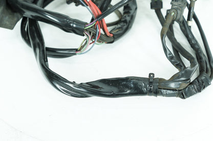 1999 - 2006 Harley-Davidson Touring Electra Glide Ultra Main Wire Wiring Harness Loom 70985-00