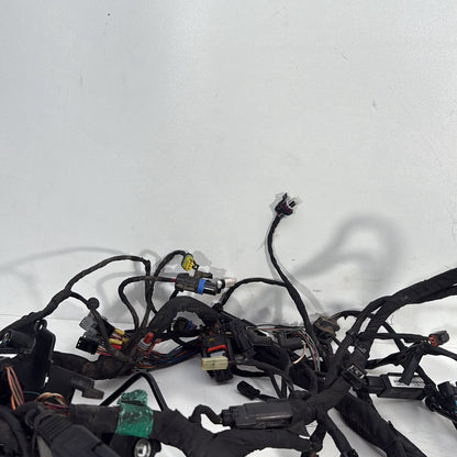 2017 - 2026 Harley-Davidson Softail Heritage Classic 114 Main Wire Wiring Harness Loom ABS 69201492