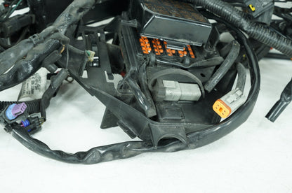 2008 - 2016 Harley-Davidson Touring Electra Glide Ultra Main Wire Wiring Harness Loom ABS 69200304