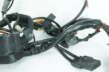 1999 - 2006 Harley-Davidson Touring Road King Main Wire Wiring Harness Loom 70245-06