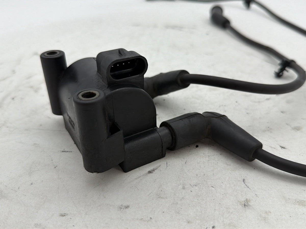 2014 Harley Electra Glide Touring Ultra OEM Ignition Coil Spark Plugs Cable