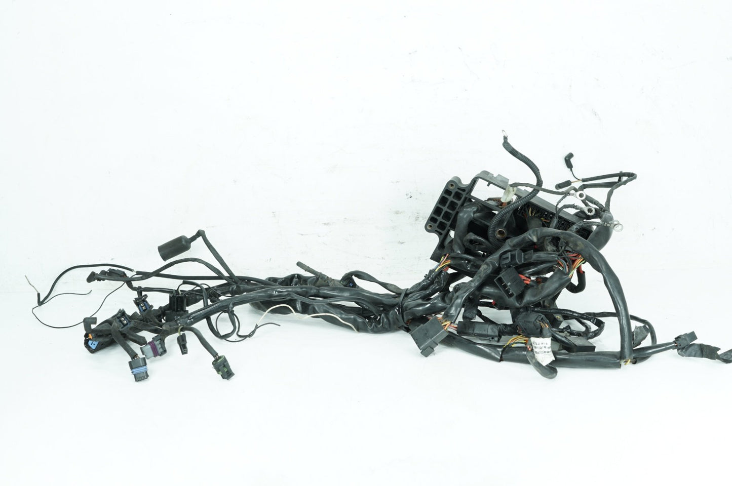 1999 - 2006 Harley-Davidson Dyna Low Rider Main Wire Wiring Harness Loom 69602-04A