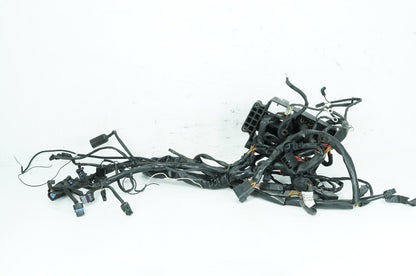 1999 - 2006 Harley-Davidson Dyna Low Rider Main Wire Wiring Harness Loom 69602-04A