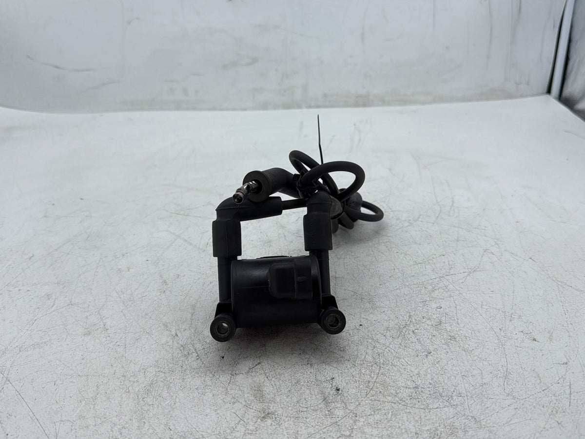 2010 Harley Road King Touring Classic OEM Ignition Coil Spark Plugs Cable