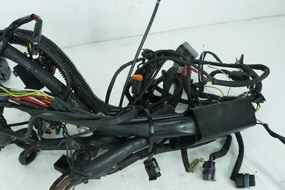 2000 - 2006 Harley-Davidson Softail Deuce Main Wire Wiring Harness Loom 70216-01