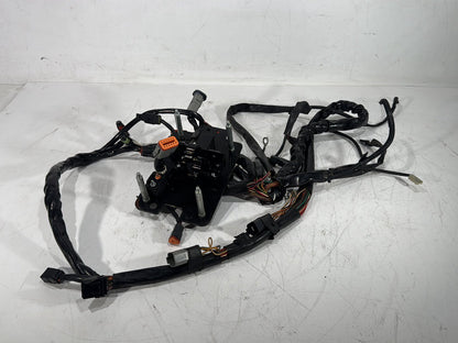 2003 Harley Dyna Wide Glide FXDWG OEM Main Wire Wiring Harness Loom