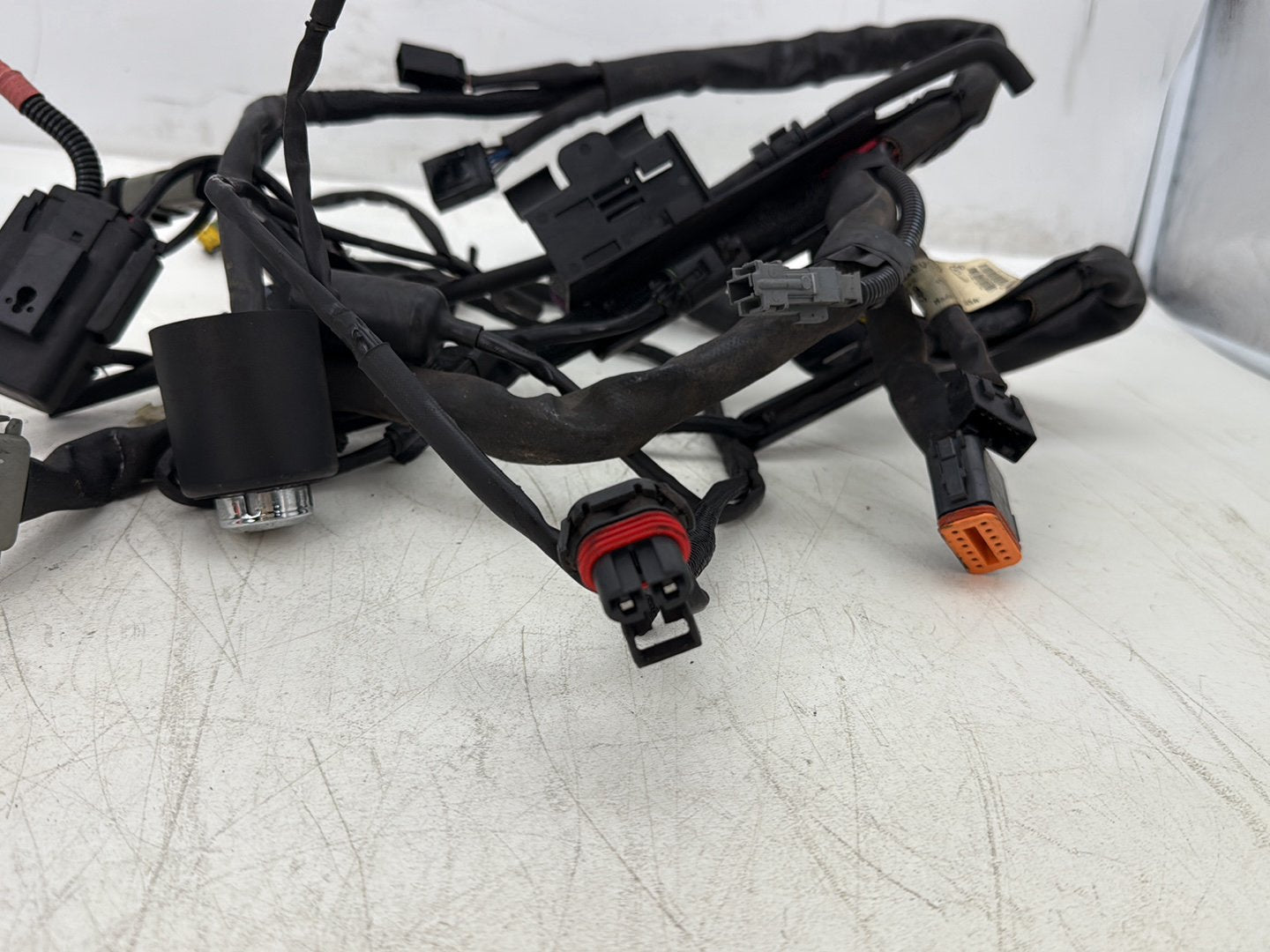 2006 Harley Sportster XL883L Low Main Wire Wiring Harness Ignition Switch NOKey