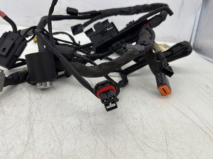 2006 Harley Sportster XL883L Low Main Wire Wiring Harness Ignition Switch NOKey
