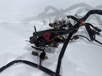 2000 Harley Dyna FXDWG Wide Glide OEM Main Wire Wiring Harness Loom