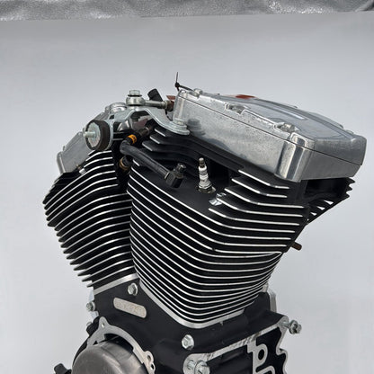 2007 - 2017 Harley-Davidson Dyna Switchback EFI Twin Cam 103 Engine Motor  	19806-12