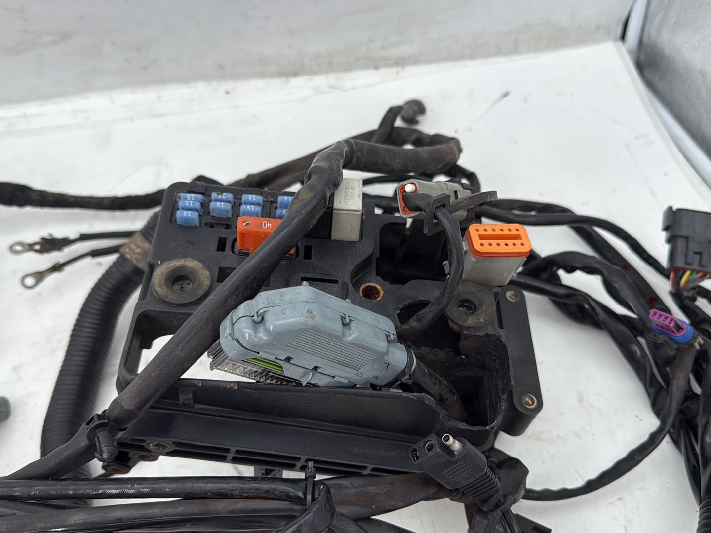 2006 Harley Dyna Super Glide Custom FXDCI OEM Main Wire Wiring Harness Loom
