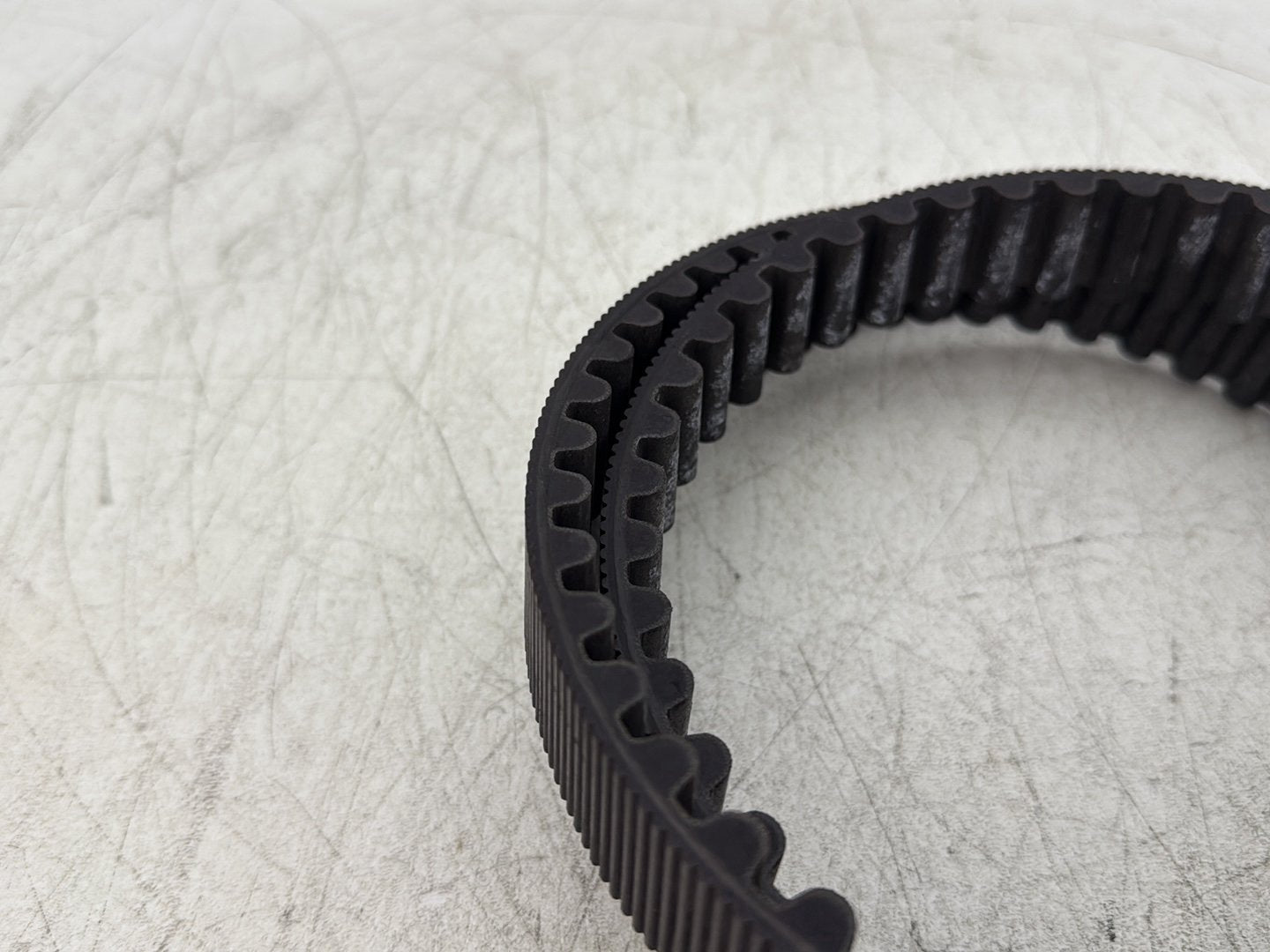2006 Harley Road King Touring FLHRCI Classic OEM Rear Drive Belt