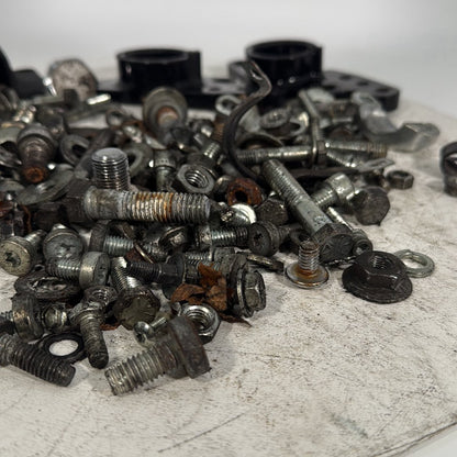 1999 - 2006 Harley-Davidson Touring Electra Glide Classic Hardware Bolts Nuts & Brackets