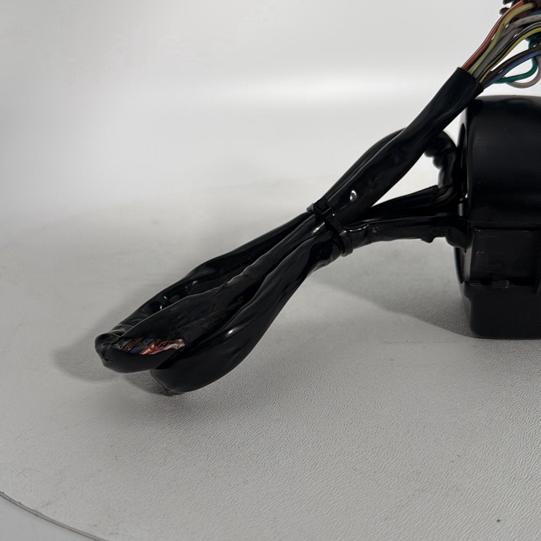 1999 - 2006 Harley-Davidson Touring Electra Glide Classic Left Turn Signal Headlight Switches Controls 71685-06A