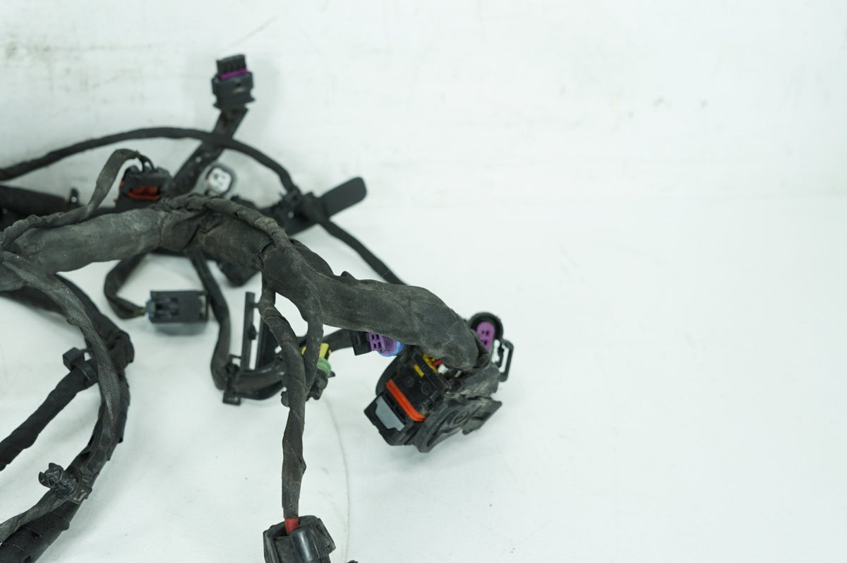 2018 - 2026 Harley-Davidson Softail Low Rider S Main Wire Wiring Harness Loom ABS 69201492