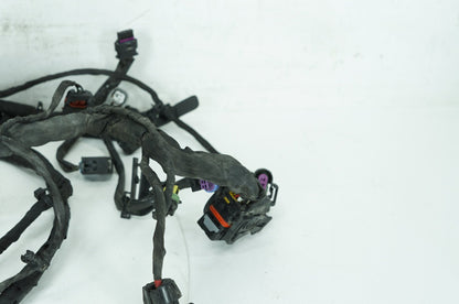 2018 - 2026 Harley-Davidson Softail Low Rider S Main Wire Wiring Harness Loom ABS 69201492