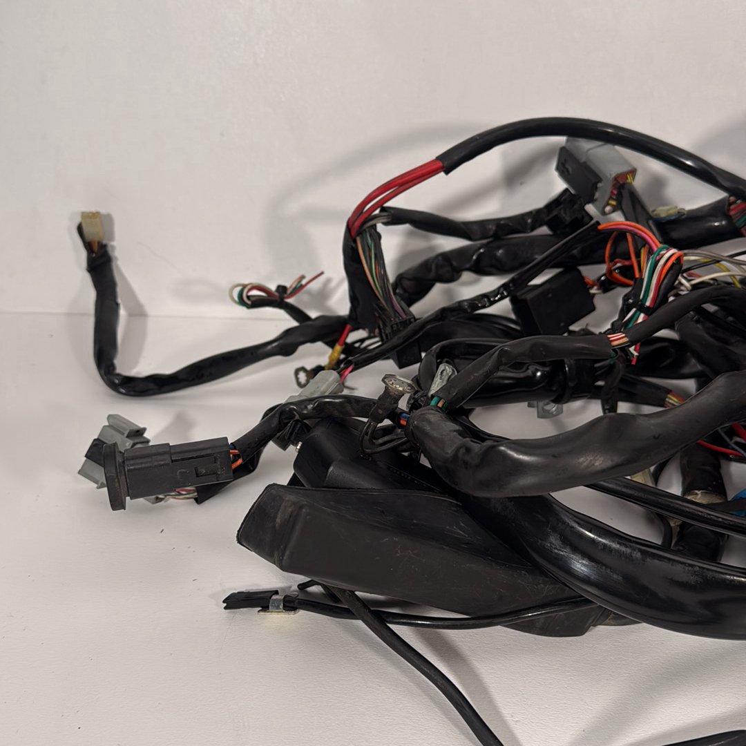1984 - 1998 Harley-Davidson Touring Road King Police Main Wire Wiring Harness Loom 70260-97