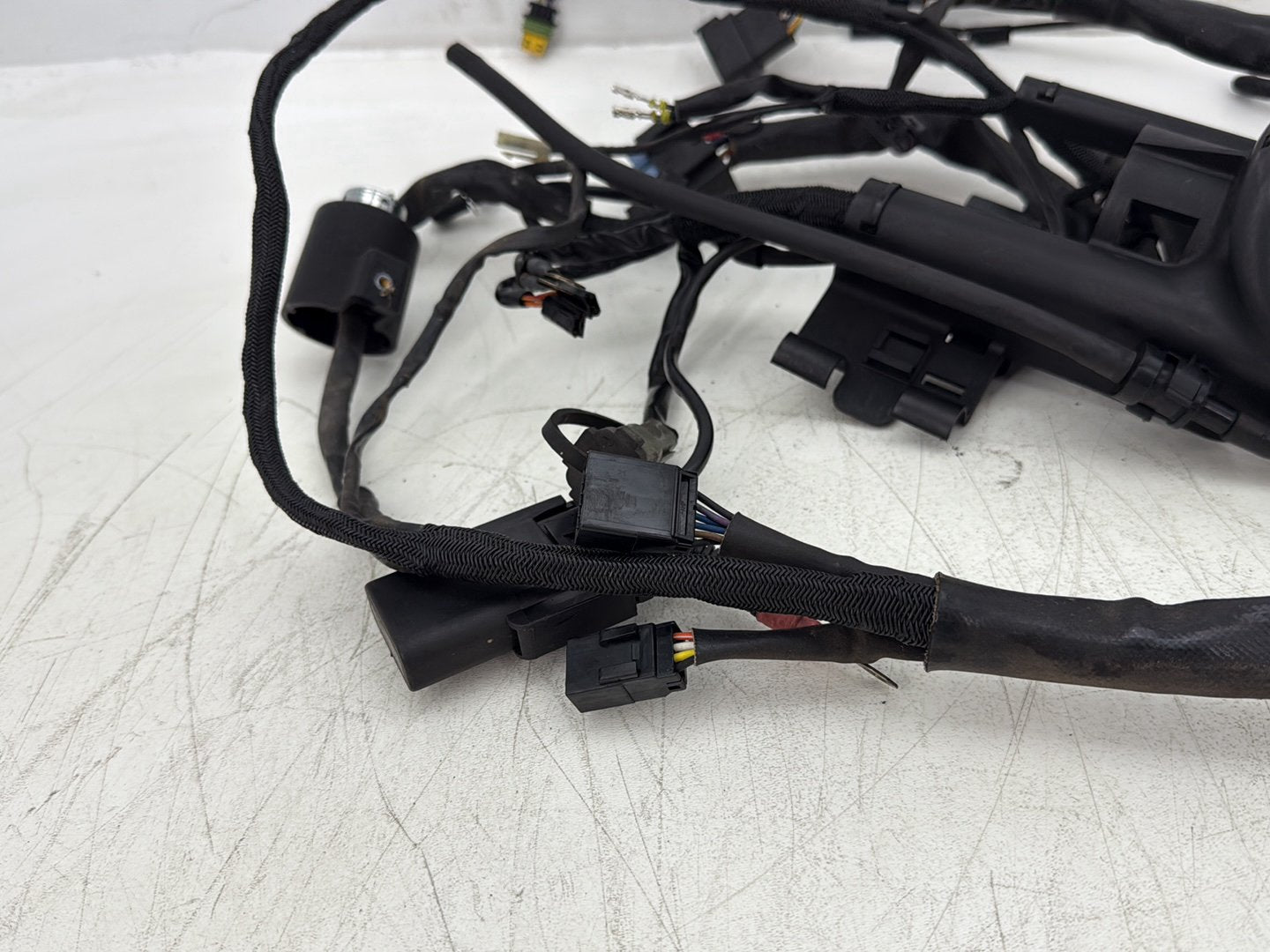 2006 Harley Sportster XL883L Low Main Wire Wiring Harness Ignition Switch NOKey
