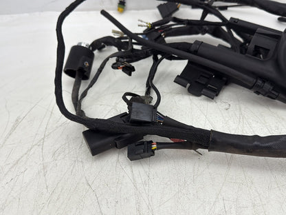 2006 Harley Sportster XL883L Low Main Wire Wiring Harness Ignition Switch NOKey