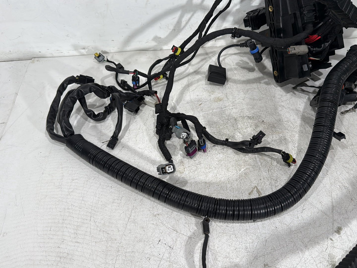 2014 Harley Dyna Low Rider FXDL OEM Main Wire Wiring Harness Loom NON-abs