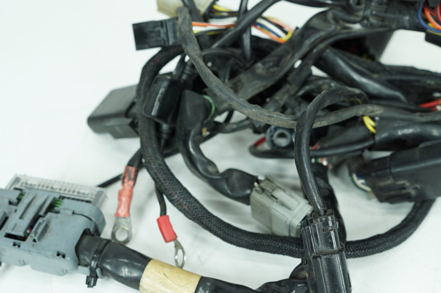 2004 - 2022 Harley-Davidson Sportster 883 Main Wire Wiring Harness Loom 70181-07