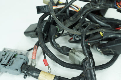 2004 - 2022 Harley-Davidson Sportster 883 Main Wire Wiring Harness Loom 70181-07