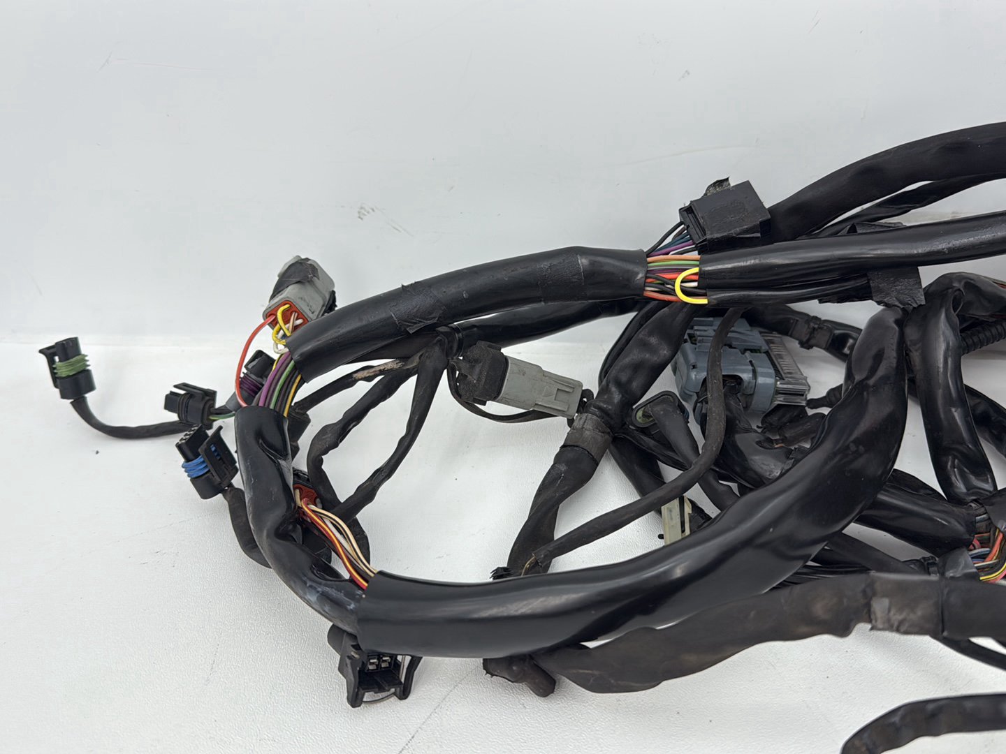 1999 - 2006 Harley-Davidson Dyna Low Rider Main Wire Wiring Harness Loom 69602-04A