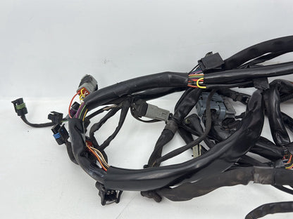 1999 - 2006 Harley-Davidson Dyna Low Rider Main Wire Wiring Harness Loom 69602-04A