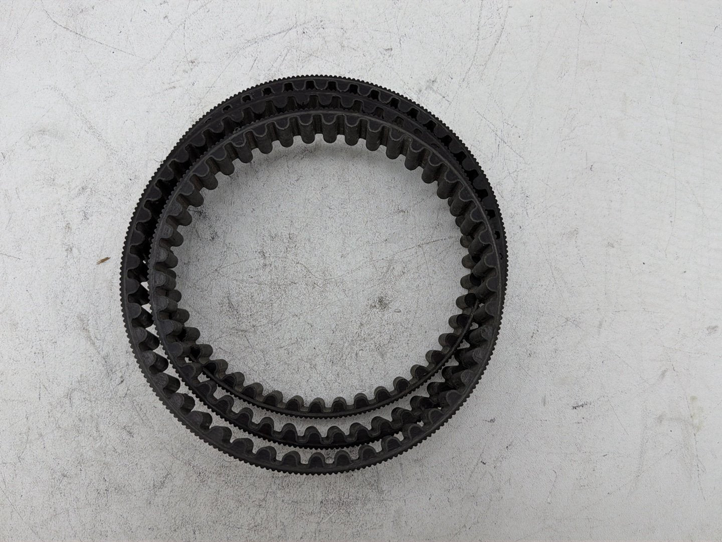2006 Harley Sportster 1200 Custom XL1200C OEM Rear Drive Belt