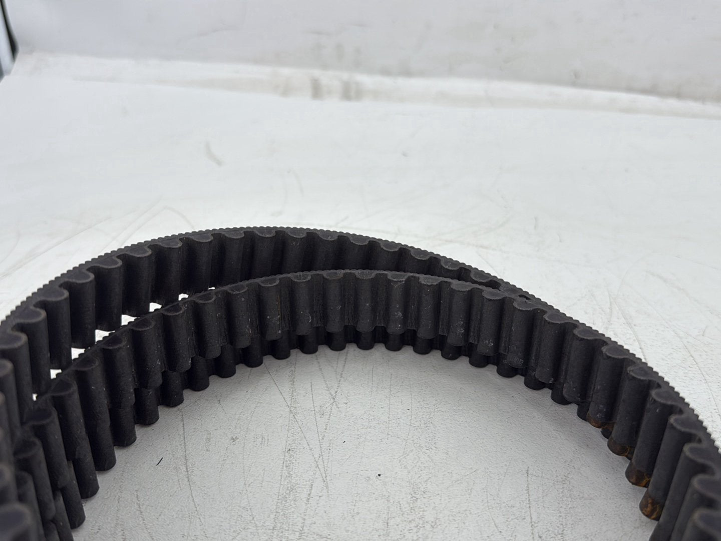 2013 Harley Forty-Eight Sportster 1200X OEM Rear Drive Belt