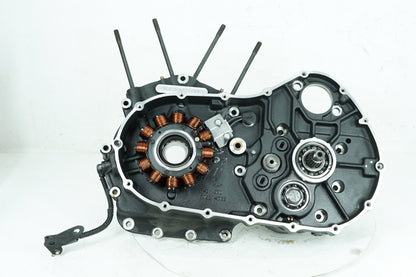 2013 - 2022 Harley-Davidson Sportster Iron Crankcase Shaft Engine Motor Cover 24534-06B