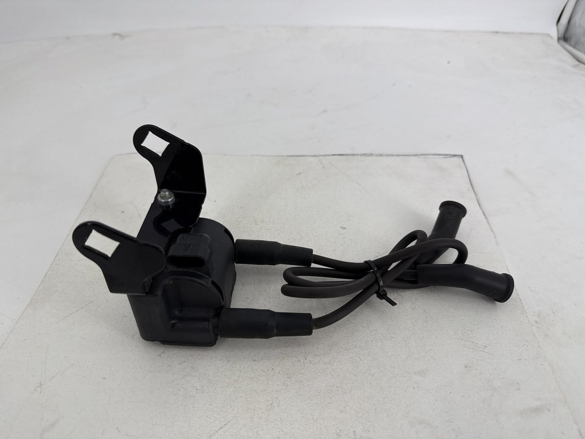 2007 Harley Electra Glide Touring CVO Eagle OEM Ignition Coil Spark Plugs Cable