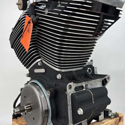 1999 - 2006 Harley-Davidson Softail Deluxe EFI Twin Cam 88 Engine Motor 19259-06