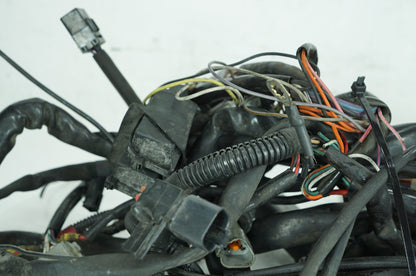 1999 - 2006 Harley-Davidson Touring Road King Police Main Wire Wiring Harness Loom 70245-99