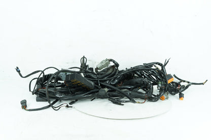 1999 - 2006 Harley-Davidson Touring Electra Glide Ultra Main Wire Wiring Harness Loom 70985-03
