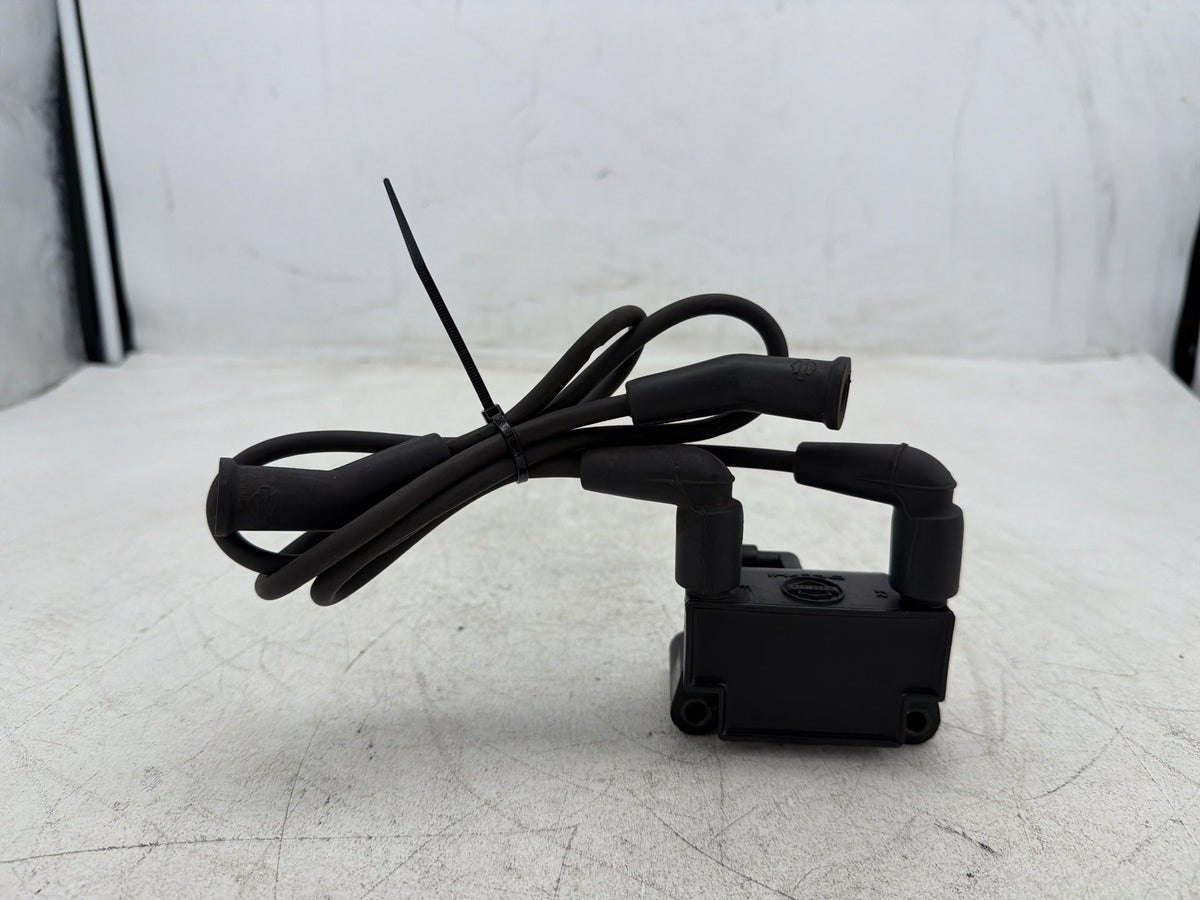 2013 Harley Street Glide Touring FLHX OEM Ignition Coil Spark Plugs Cable