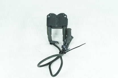 1999 - 2006 Harley-Davidson Touring Electra Glide Classic Ignition Coil Spark Plugs Cable 31743-01