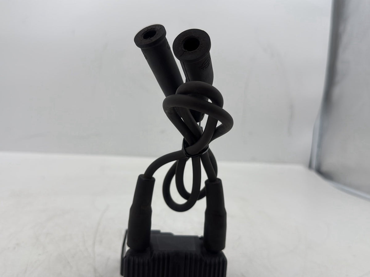 07 Harley Touring FLHTCU Electra Glide Ultra OEM Ignition Coil Spark Plugs Cable