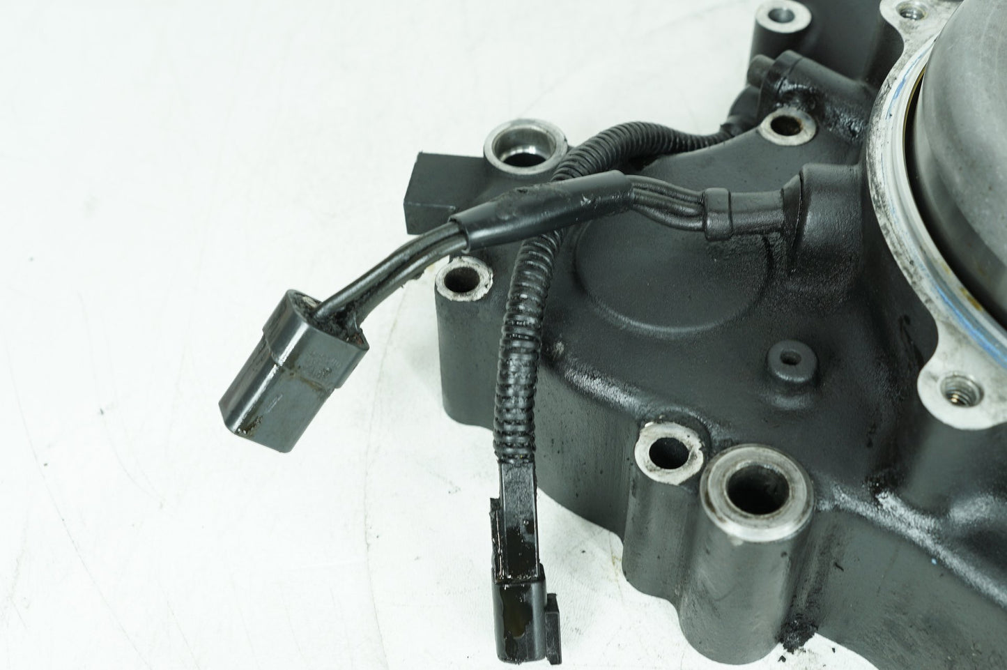 1999 - 2006 Harley-Davidson Softail Heritage Classic Crankcase Shaft Engine Motor Cover
