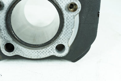 2013 - 2022 Harley-Davidson Sportster Iron Twin Cam Engine Jug 1 Cylinder Barrel  	16452-05