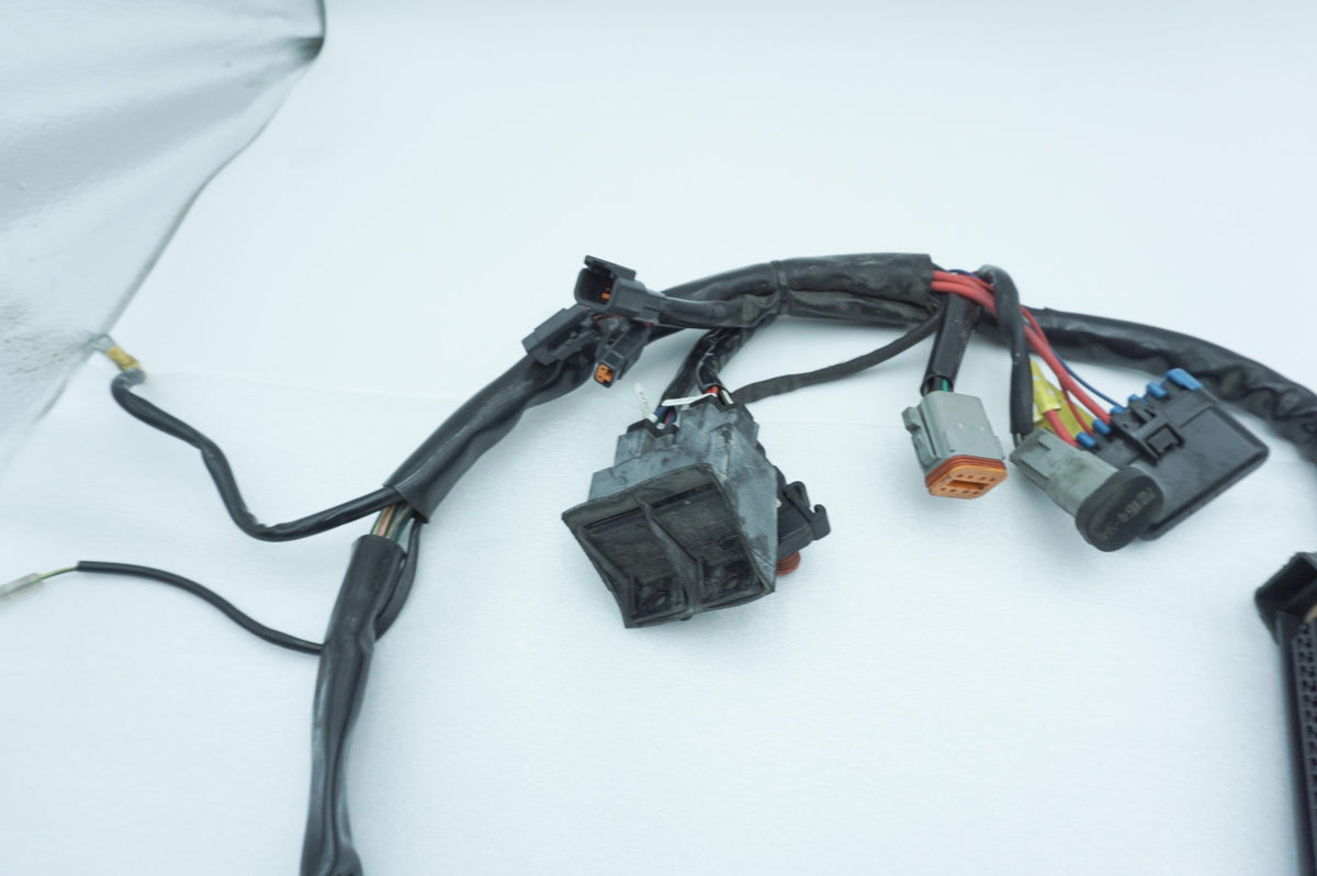Wire Harness Loom Plug In Connector, 2001, Harley-Davidson, Touring, Electra Ultra, FLHTCUI