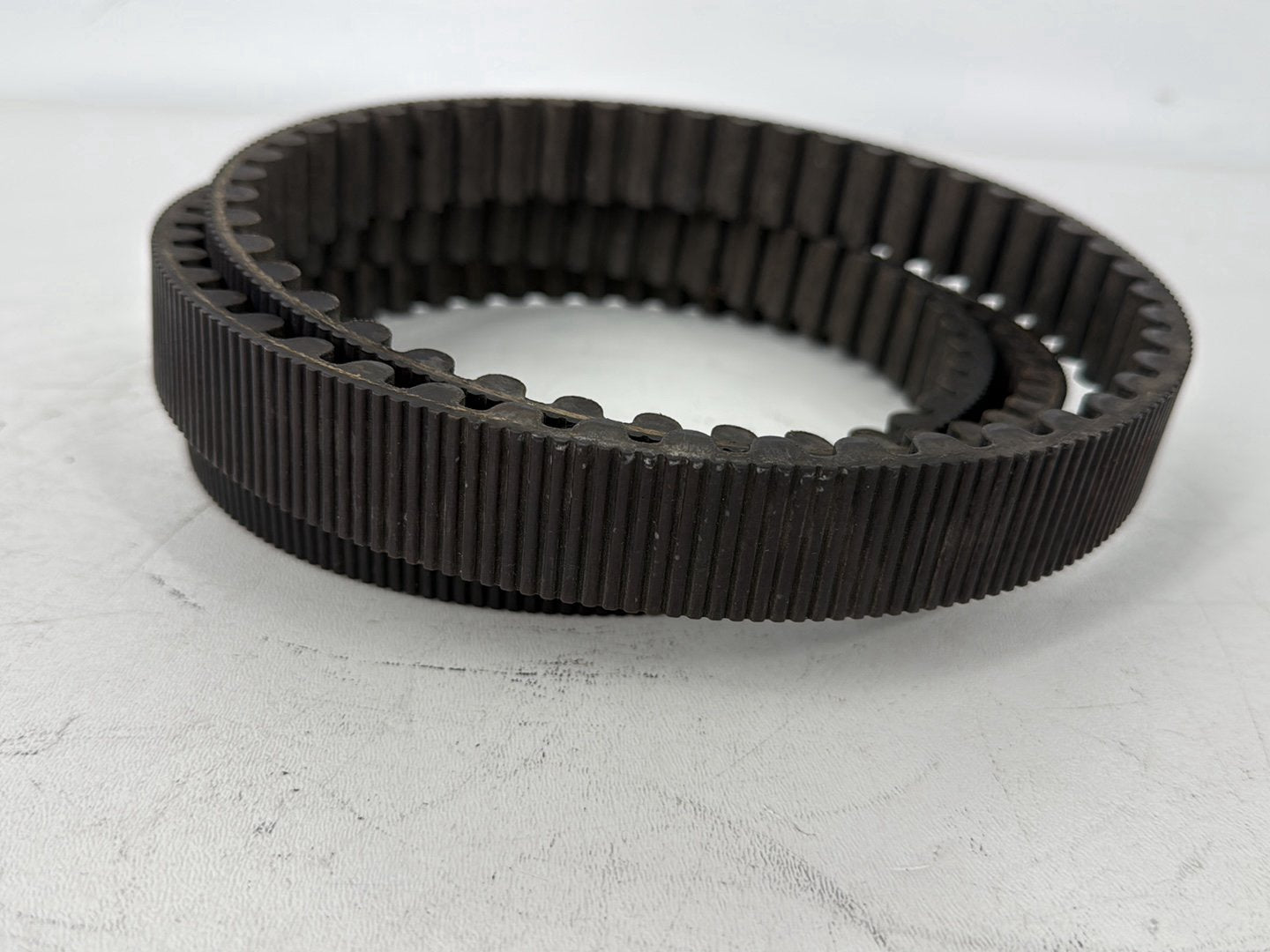 2005 Harley Sportster XL883C 883 Custom OEM Rear Drive Belt