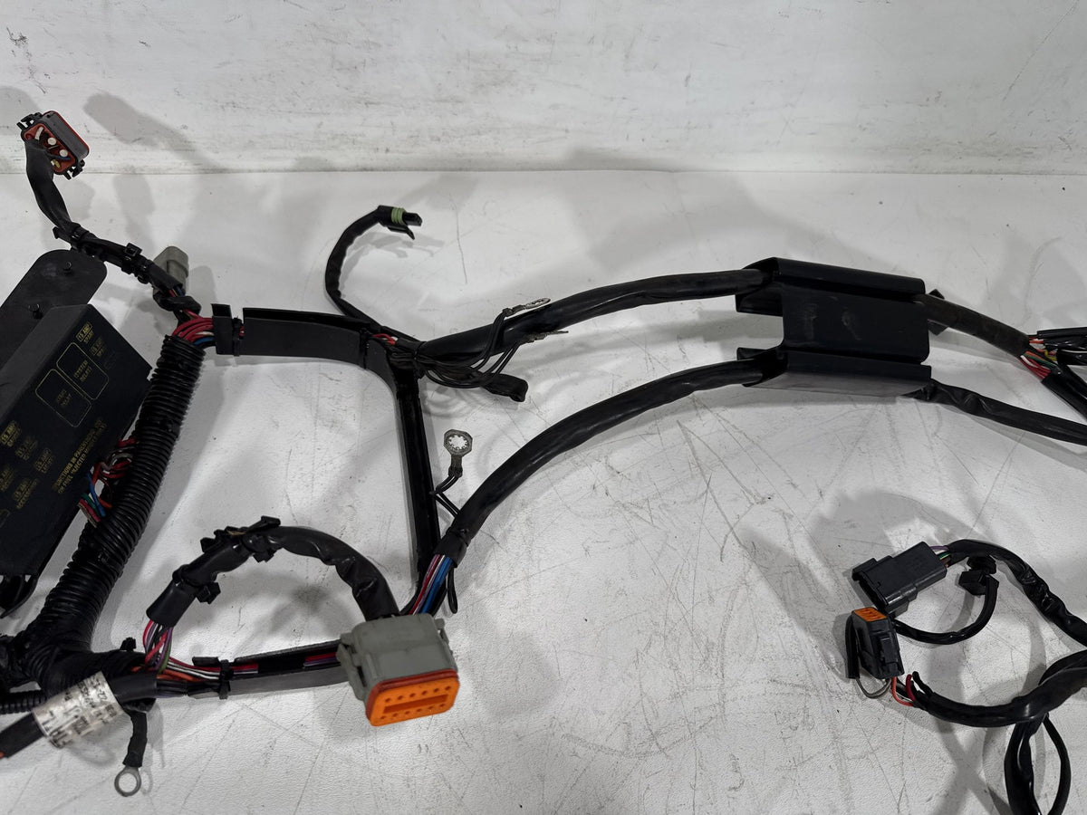 2001 Harley Softail Standard FXST OEM Main Wire Wiring Harness Loom CARB