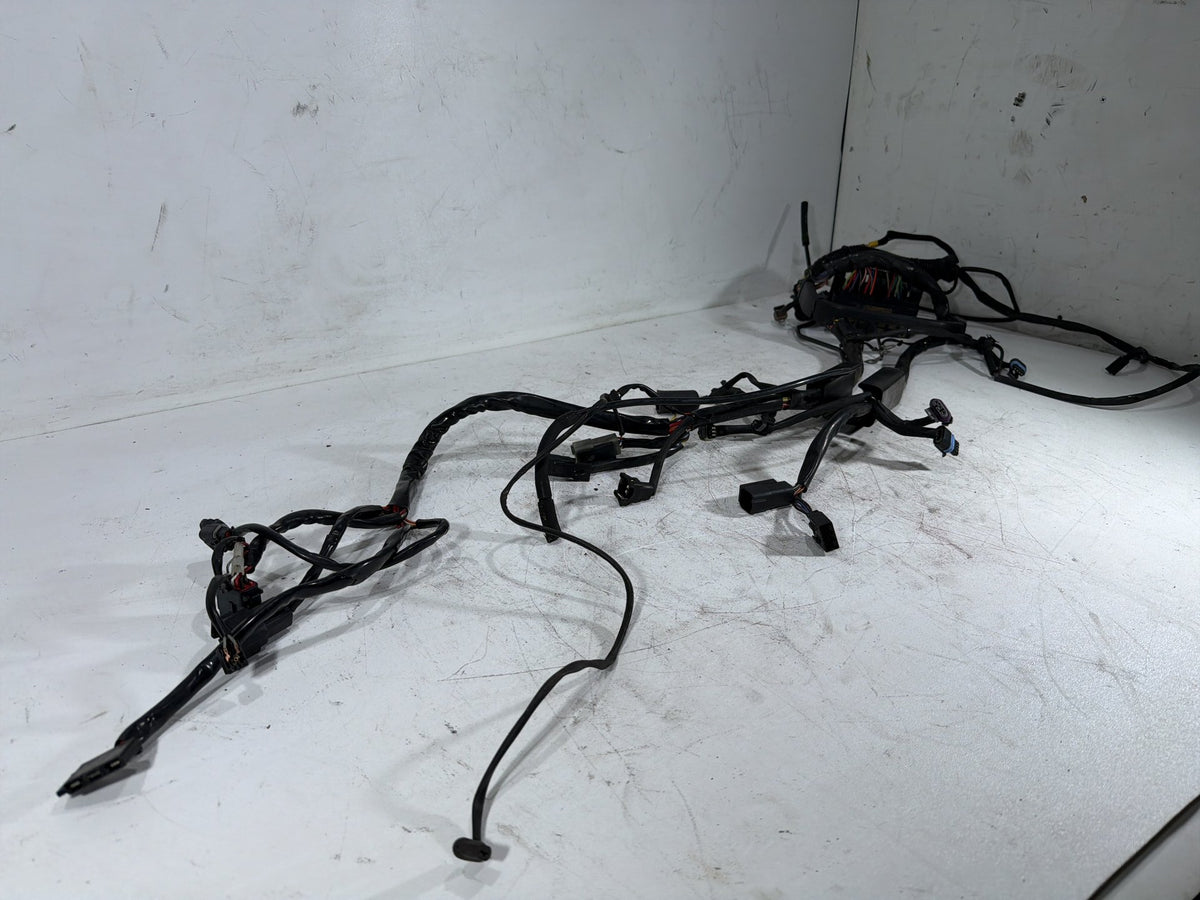 2001 Harley Fat Boy Softail FLSTFI OEM Main Wire Wiring Harness Loom CARB