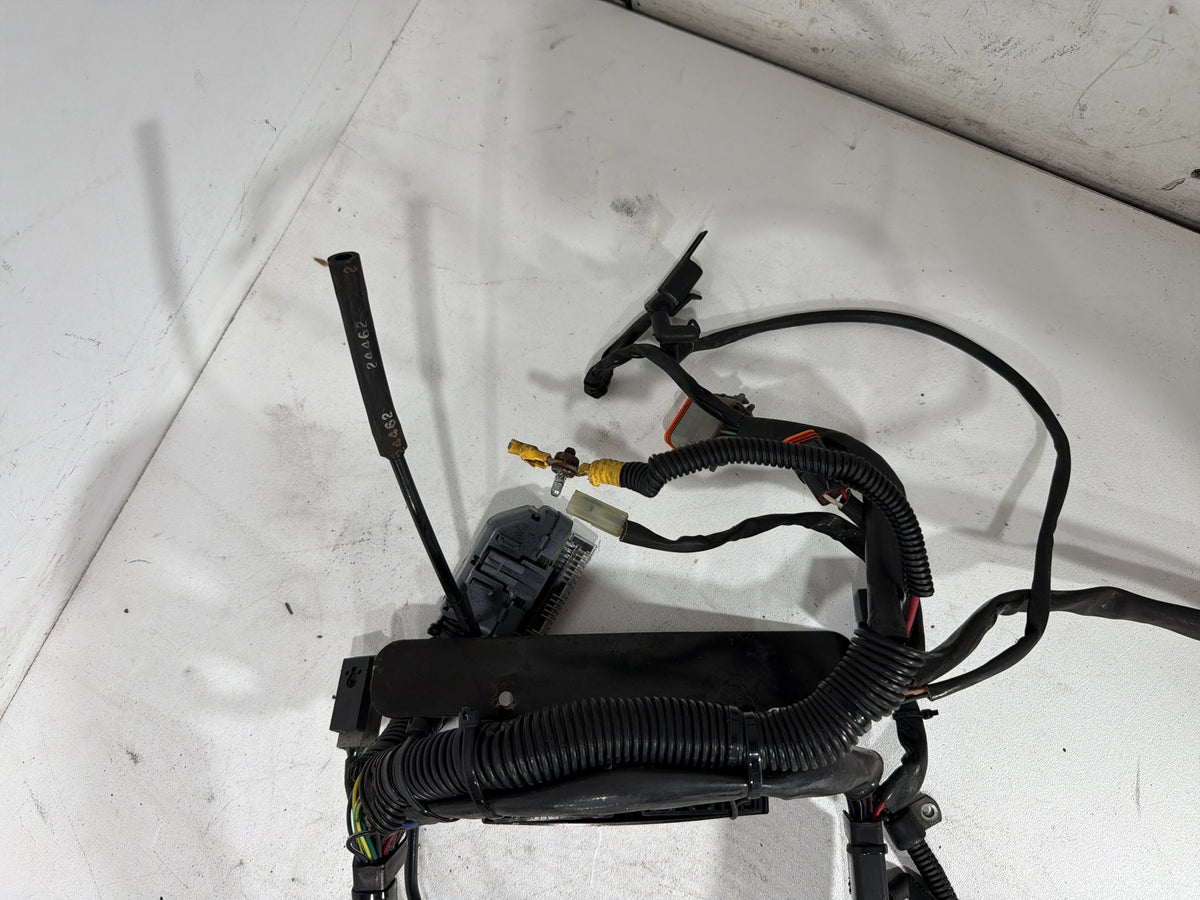 2001 Harley Fat Boy Softail FLSTFI OEM Main Wire Wiring Harness Loom CARB