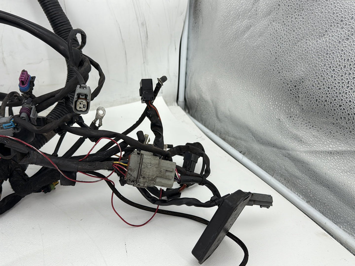 06 Harley Dyna FXDWGI Wide Glide OEM Main Wire Wiring Harness Loom EFI 69603-06